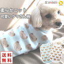 犬 服 犬服 犬の服 【はっぴーDOG】 タンクトップ 袖なし ノースリーブ 袖無し ニット 生地 春ニット 生地 セーター 着せやすい くま クマ ショート丈...
