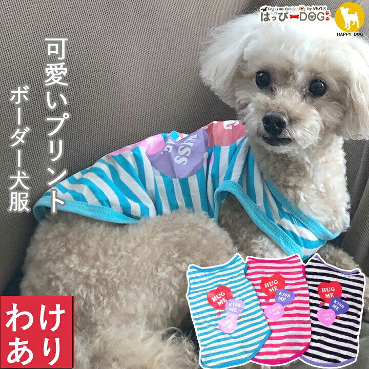 �ڤ櫓�����ʡ۸� �� ���� ������ ���󥯥ȥå� �夻�䤹�� �ܡ����� µ�ʤ� �Ρ����꡼�� µ̵�� ���硼�Ⱦ� �ڽ� �� �ղ� ���� ���� ��ʪ ��ʪ ������...