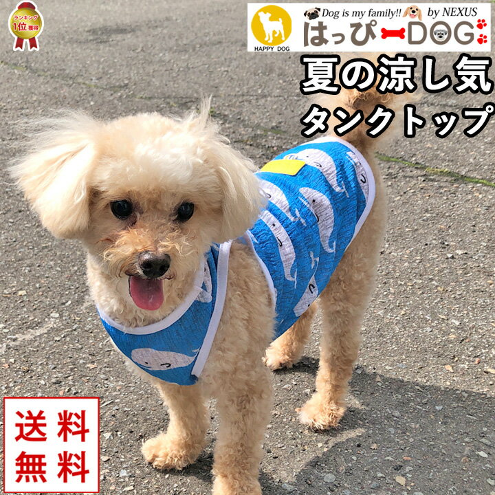     ڤϤäԡDOG 󥯥ȥå µʤ Ρ꡼ µ̵   硼Ⱦ ڽ  ղ   ʪ ʪ ѡۡˤλ  淿 ץץ