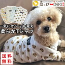 犬 服 犬服 いぬ 犬の服 Tシャツ カットソー 半袖 長袖 クマ 着せやすい 暖かい 【秋 冬 秋冬 秋服 冬服 秋物 冬物 秋服】