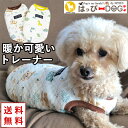 犬 服 犬服 いぬ 犬の服 着せやすい トレーナー タンクトップ 袖なし 暖かい キルティング 【秋 冬 秋冬 秋服 冬服 秋物 冬物 秋服】