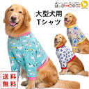 犬 服 犬服 犬の服 【はっぴーDOG】 大型犬 Tシャツ 長袖 カットソー トップス 【秋 冬 秋冬 秋服 冬服 秋物 冬物 秋服】