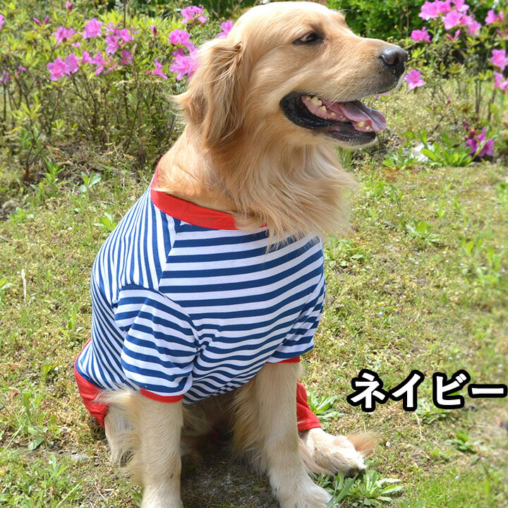 大型犬 犬 服 犬服 犬の服 【はっぴーDOG】 つなぎ ボーター オーバーオール ロンパース カバーオール 【春 夏 春夏 春服 夏服 春物 夏物 春服】 2