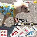 犬 靴 犬靴 犬の靴 犬用靴 ドッグシューズ 夏 肉球やけど防止 肉球保護 暑さ対策 ファスナー 履かせやすい 脱げない くつ 介護 足 怪我 シニア ケア 【...