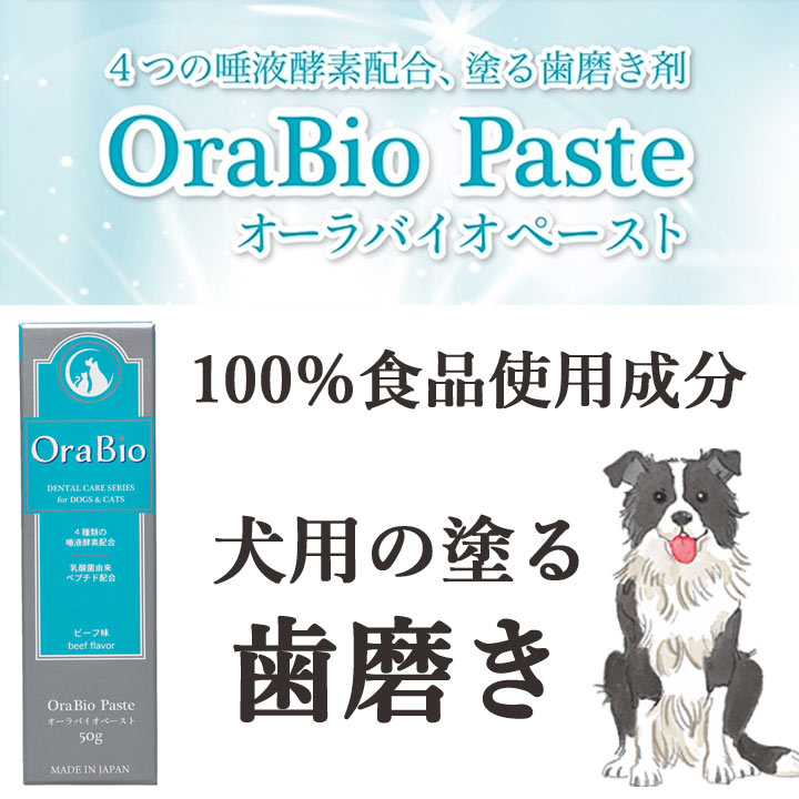 犬 歯磨き オーラバイオペースト OraBio 犬用デンタルケア デンタルケア デンタル ペースト デンタルジェル ジェル 歯磨きジェル 歯磨きペースト はみがき 犬口ケア 犬歯 歯垢 歯磨き粉 歯みがき 口臭 2