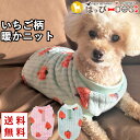 犬 服 犬服 いぬ 犬の服 着せやすい ニット セーター フリース 暖かい 防寒 Dカン いちご柄 袖なし おしゃれ かわいい 【秋 冬 秋冬 秋服 冬服 秋物...