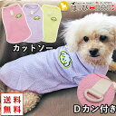 【300円クーポン】 犬 服 犬服 いぬ 犬の服 着せやすい カットソー Tシャツ トイプードル Dカン 袖あり 【春 夏 春夏 春服 夏服 春物 夏物 春服】