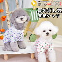 犬 服 犬服 いぬ 犬の服 シャツ ブラウス 花柄 レース 袖あり 前ボタン スナップボタン 着せやすい 【春 夏 春夏 春服 夏服 春物 夏物 春服】