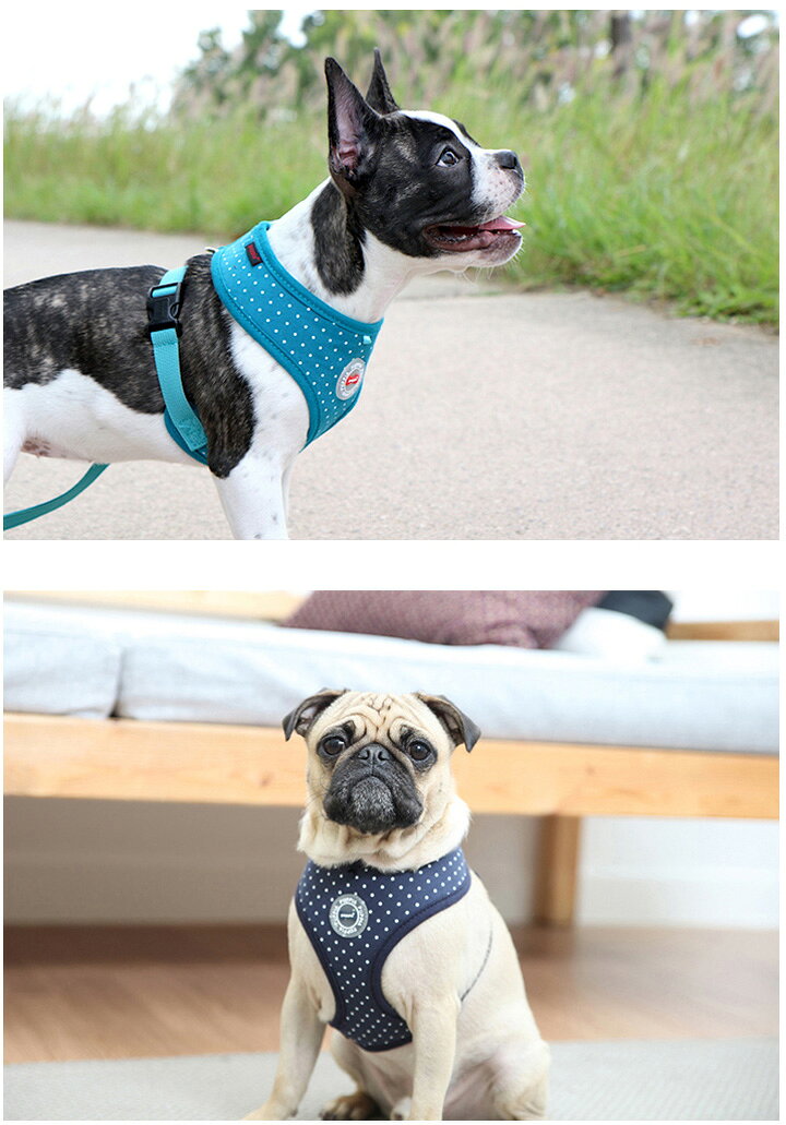 ハーネス 犬 ドット柄 小型犬 中型犬 子犬 パピア PUPPIA 可愛い ハーネス犬用 犬のハーネス 柔らかい ベストハーネス パピー 超小型犬 極小 簡単装着 胴輪 シニア犬 【秋 冬 秋冬 秋服 冬服 秋物 冬物 秋服】 k-city-10437968 はっぴーDOG【公式】可愛い犬服屋 サンプル画像3