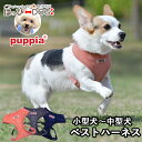 ハーネス 犬 首の負担が少ない 小型犬 中型犬 子犬 パピア PUPPIA 可愛い ハーネス犬用 犬のハーネス 柔らかい ベストハーネス パピー 超小型犬 極小...