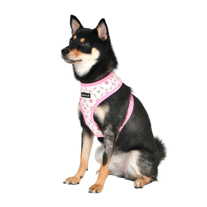 ハーネス 犬 花柄 小型犬 中型犬 子犬 パピア PUPPIA 可愛い ファッション ハーネス犬用 犬のハーネス 柔らかい ベストハーネス パピー 超小型犬 極小 簡単装着 胴輪 シニア犬 【春 夏 春夏 春服 夏服 春物 夏物 春服】 k-city-10437836 はっぴーDOG【公式】可愛い犬服屋 サンプル画像3