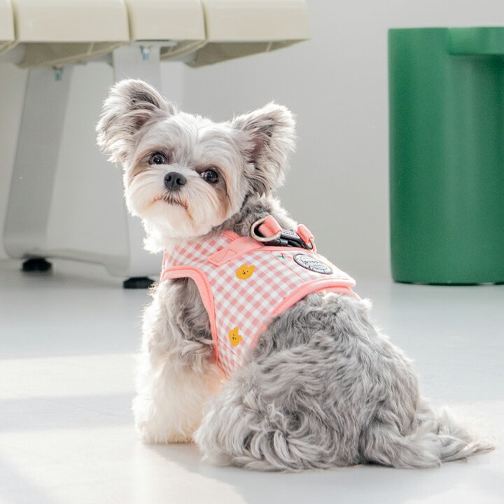 �ϡ��ͥ� �����å��� �� ������ �淿�� �Ҹ� �ѥԥ� PUPPIA �İ��� �ϡ��ͥ����� ���Υϡ��ͥ� ���餫�� �٥��ȥϡ��ͥ� �ѥԡ� Ķ������ �˾� ��ñ���� ƹ�� ���˥��� �ڽ� �� �ղ� ���� ���� ��ʪ ��ʪ ������