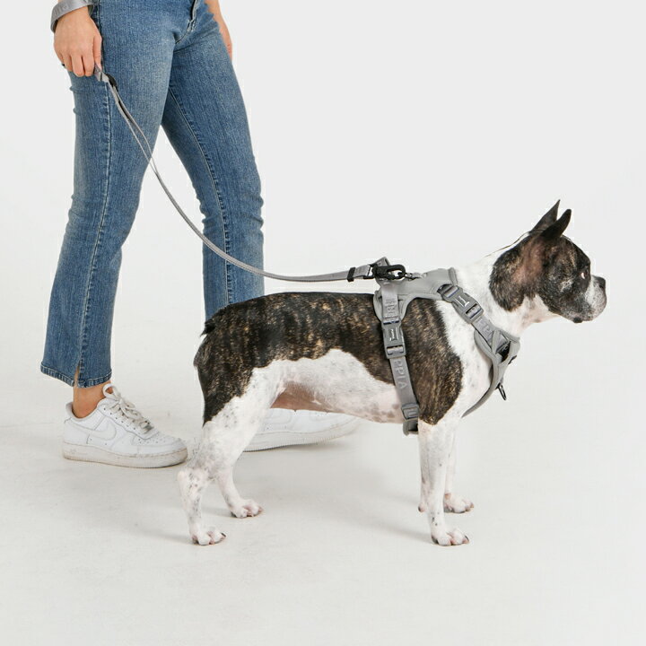 ハーネス 犬 小型犬 中型犬 大型犬 子犬 パピア PUPPIA 可愛い ハーネス犬用 犬の...