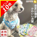 \ポイント10倍/ 【ワンコイン500円】 犬 服 犬服 犬の服 【はっぴーDOG】 タンクトップ 着せやすい 袖なし ノースリーブ 袖無し 薄手 フルーツ シ...