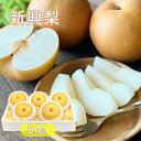 【10月中下旬より発送】新興梨 梨 なし 産地おまかせ 送料無料 約2kg5玉 化粧箱入り 赤梨 果物 お礼 内祝い お祝い返し 誕生日プレゼント 旬のフルーツ プレゼント おすすめ 鳥取 新潟 熊本 京都