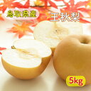 【11月上中旬より発送】訳あり 王秋 梨 なし サイズおまかせ 6~12玉 送料無料 赤梨 御中元 お盆果物 お礼 内祝い お祝い返し 誕生日プレゼント 旬のフルーツ プレゼント おすすめ 鳥取県産