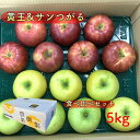 【9月上旬より発送】青森県産 りんご サンつがる & きおう りんごセット 約5kg(12〜18玉) 食べくらべセット りんご リンゴ 林檎 サンつがる 黄王 ...