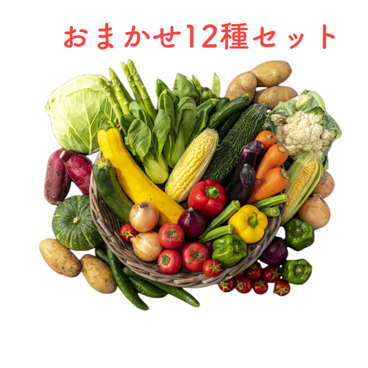 野菜セット お試し 国産野菜セット 旬野菜 詰め合わせ やさい 12種類 新鮮野菜 詰め合わせ 新鮮 野菜 旬の野菜 詰合せ フードロス 贈り物 楽天市場 ログイン 購入履歴 野菜 送料無料（一部地域省く）わけあり 訳あり 箱買い ギフト 敬老の日 父の日