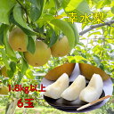 【8月中下旬より発送予定】幸水 梨 なし 送料無料 1.8kg 6玉 化粧箱入り 旬の果物 果物 赤梨 くだもの 贈り物 敬老の日