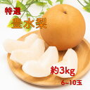 【9月上旬より発送予定】豊水 梨 なし 送料無料 3kg 6~10玉 化粧箱入り 御中元 秋分の日 敬老の日 果物 くたもの 旬の果物 フルーツ いろどり 敬老の日