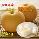 【10月上旬より発送】南水梨 南水 梨 なし 送料無料 5kg 10~16玉 化粧箱入り 赤梨 御中元 お盆果物 お礼 内祝い お祝い返し 誕生日プレゼント 旬のフルーツ プレゼント おすすめ 長野県産 敬老の日