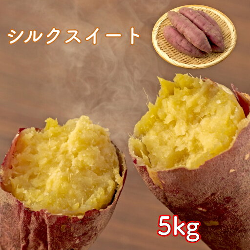さつまいも シルクスイート 5kg さつま芋 サツマイモ 茨城県産 群馬県産 千葉県産 サイズおまかせ S~2Lサイズ生芋 野菜 果物 母の日 お中元 お歳暮 贈り物 贈答 楽天市場 ログイン 購入履歴 野菜 送料無料(一部地域省く) さつまいも シルクスイート 5kg さつま芋 サツマイモ 茨城県産 群馬県産 千葉県産 サイズおまかせ S~2Lサイズ生芋 野菜 果物 母の日 お中元 お歳暮 贈り物 贈答 楽天市場 ログイン 購入履歴 野菜 送料無料(一部地域省く)