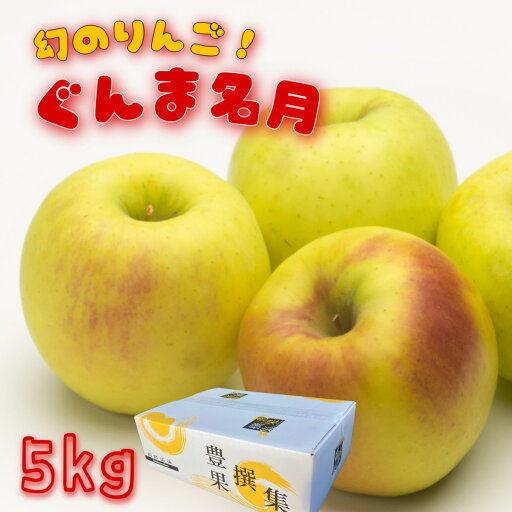 【11月中下旬より発送】りんご ぐんま名月 約5kg(11〜18玉) ギフト ご贈答 ご自宅 誕生日 新鮮果物 内祝いお礼 プレゼント 甘味たっぷり 詰合せ 果物 スイーツ デザート 黄りんご 幻のりんご 産地おまかせ 【11月中下旬より発送】りんご ぐんま名月 約5kg(11〜18玉) ギフト ご贈答 ご自宅 誕生日 新鮮果物 内祝いお礼 プレゼント 甘味たっぷり 詰合せ 果物 スイーツ デザート 黄りんご 幻のりんご 産地おまかせ