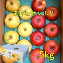 【11月中下旬より発送】青森県産 りんご サンふじ&王林 りんごセット 約5kg(12~18玉) 食べくらべセット りんご リンゴ 林檎 サンふじ 王林 フルーツセット ギフト ご贈答 ご自宅 誕生日 新鮮果物 詰合せ さんふじ おうりん 果物 スイーツ デザート