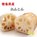 徳島県産 れんこん レンコン 洗いれんこん 蓮根 徳島県3kg ポイント消化 楽天市場 ログイン 購入履歴 お正月 おせち料理 縁起物 楽天市場 ログイン 購入履歴 野菜 送料無料(一部地域省く)3キロ