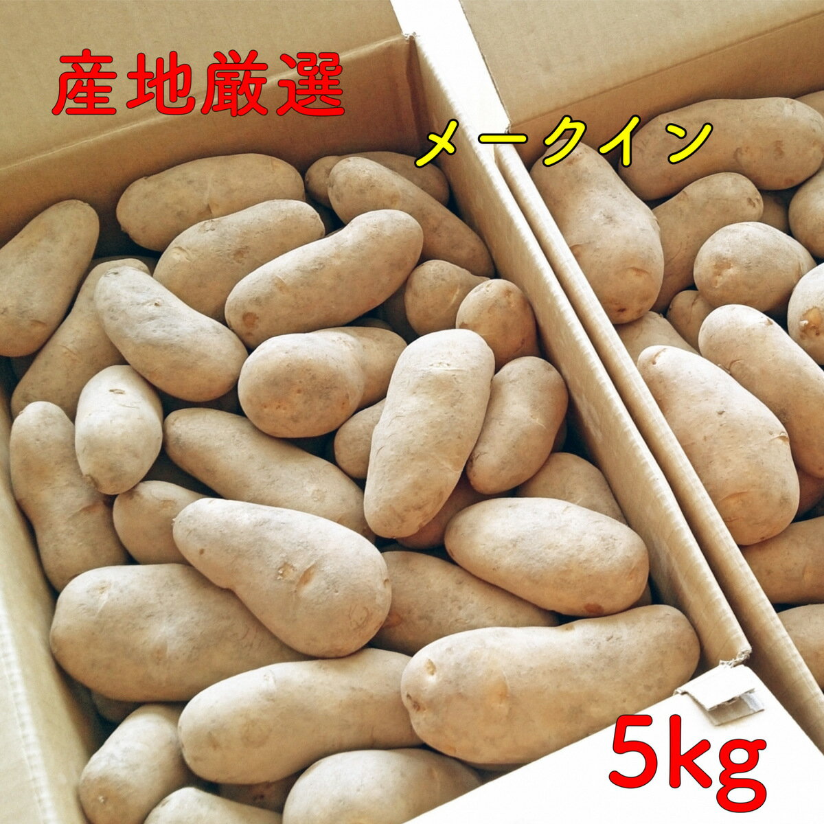 ジャガイモ じゃがいも メークイン 5kg 大きさおまかせ 市場直送 野菜 九州 四国 本州 北海道 産地おまかせ 訳あり わけあり