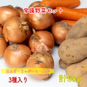 ジャガイモ 玉ねぎ 人参 じゃがいも 玉ねぎじゃがいも人参セット 計5kg 芋玉人参セット 野菜詰め合わせ 野菜セット 野菜 産地おまかせ ..