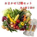野菜セット あん肝2袋 入 お試し 国産野菜セット 旬野菜 詰め合わせ 12種類 新鮮野菜 国産 詰め合わせ 野菜 あん肝 旬の野菜 詰合せ あん肝セット 贈り...