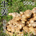 高知県産 生姜 サイズおまかせ 500g 生姜 しょうが 【送料無料（一部地域省く）】 国産 薬味 お酒あて グルメ 贈り物 楽天市場 ログイ..