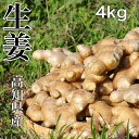 高知県産 生姜 サイズおまかせ 4kg