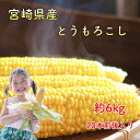 {茧Y Ƃ낱 6kg gERV S[hbV 낱 XC[gR[ BBQ   ̓ v[g 蕨  ۑ Ђ {̖  yV OC w { CG[R[