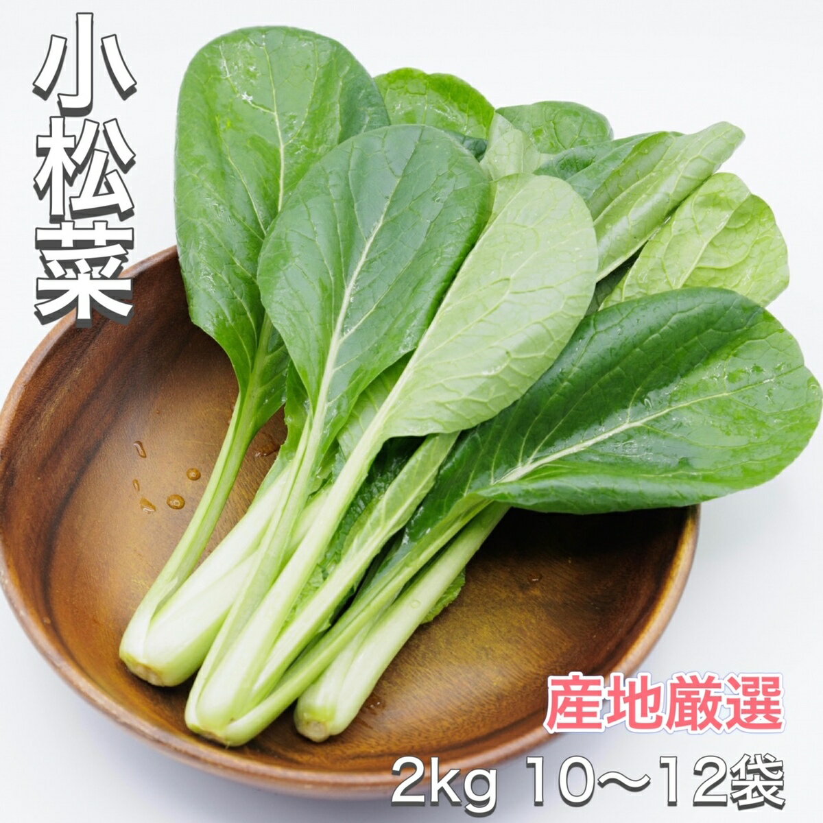 【新商品】小松菜 産地厳選 2kg こまつな コマツナ 野菜 楽天市場 ログイン 購入履歴 父の日 贈り物 【送料無料（一部地域省く）】