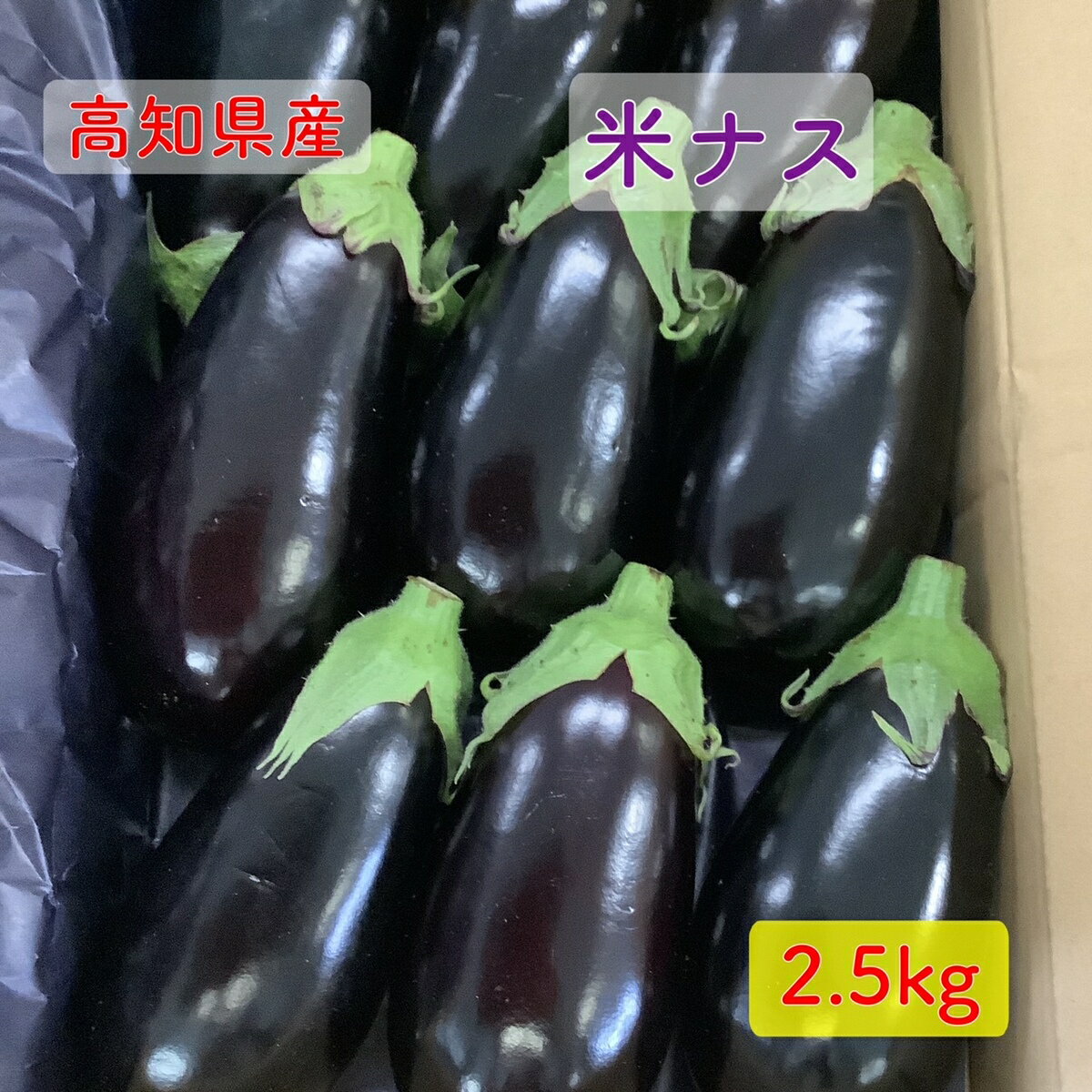 高知県産 米茄子 米なす べいなす 米ナス A品 1箱 9個 なす 茄子 なすび ナス 国産 送料無料 一部地域除く 】野菜 果菜類 ポイントアップ