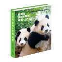 【韓国書籍/写真集】 全知的ルイバオフイバオ視点 - 双子の赤ちゃんパンダの賢い挑戦 輝かしい始まり フォトエッセイ (プーバオ FUBAO 福宝 双子の妹 本...