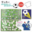 【学校色紙 色紙 寄せ書き サッカー】学校色紙2 サッカー お別れ会 送別会 卒業 メッセージカード 記念品 引退 退団 色紙 【B-2368_029717】