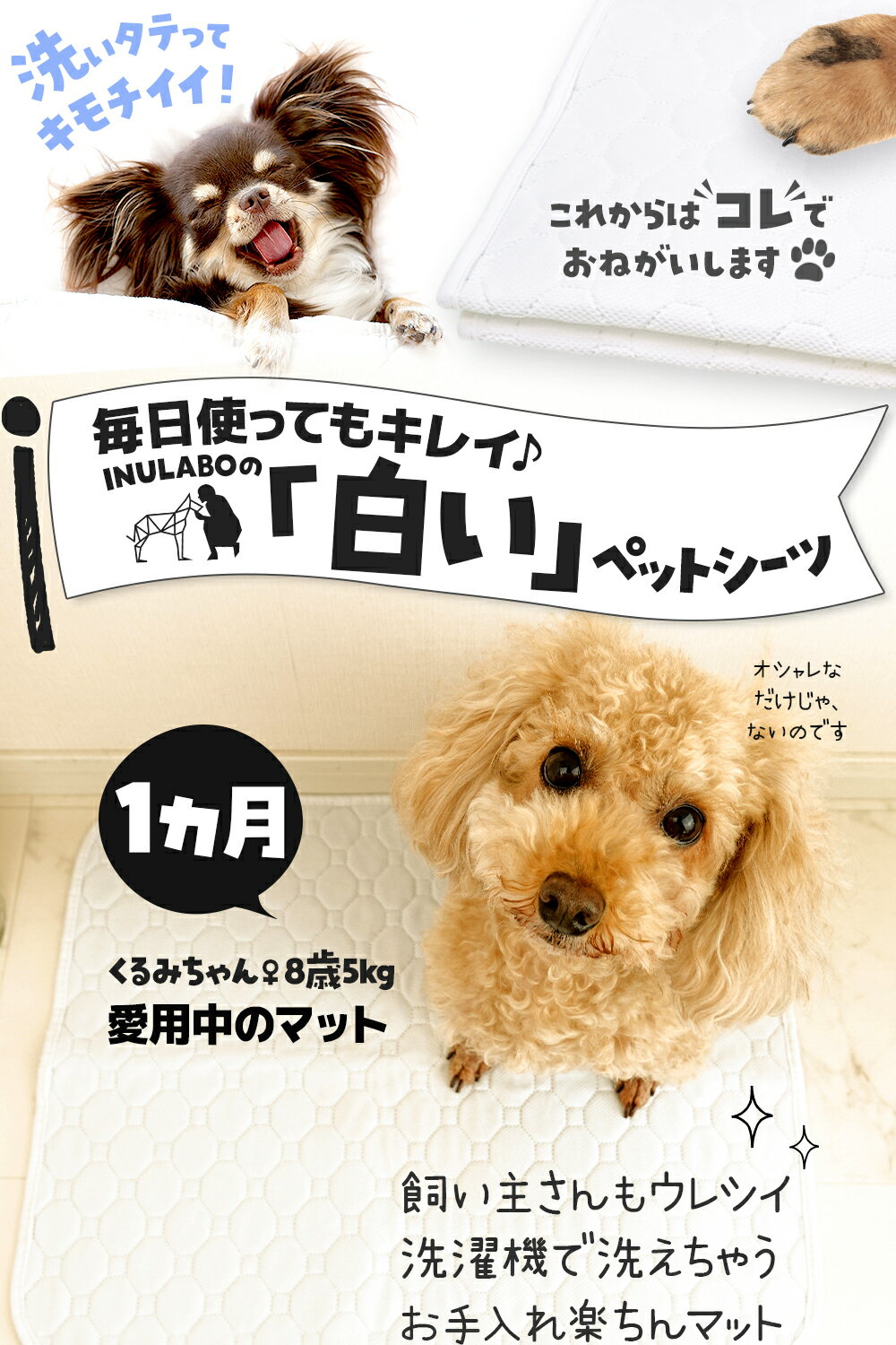 【圧倒的高評価！】【2セット同時購入で5％OFF】ペットシーツ 洗える 猫 犬 おしっこパッド おしっこ トイレがよく見える トイレ下敷き マット 漏れない 床 傷防止 ペット用 多頭買い スーパーワイド or Lサイズ(2枚セット) INULABO イヌラボ