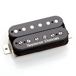 Seymour Duncan SH-18b Whole Lotta Humbucker Uncovered Humbucker Bridge (ブリッジ用)(ハムバッカータイプピックアップ)(ご予約受付中)【ONLINE STORE】