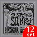 Ernie Ball 9-String Slinky #2628 (09-105) s9GLM^[t y12pbNzyz