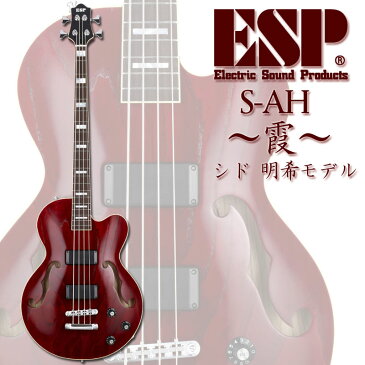 ESP S-AH〜霞〜 SID(シド) 明希 Model (AH-RED)【受注生産品】【送料無料】