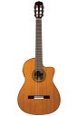 Cordoba Series Fusion 12 Natural sNVbNM^[t yzyׁE\tz