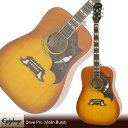 Epiphone Dove Studio (Violin Burst)[EEDVVBNH1]yz