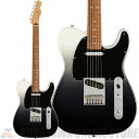 Fender Player Plus Telecaster Pau Ferro Silver SmokeyP[uv[gz