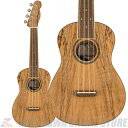 Fender Acoustics Zuma Exotic Concert Ukulele, Walnut Fingerboard, Spalted Maple