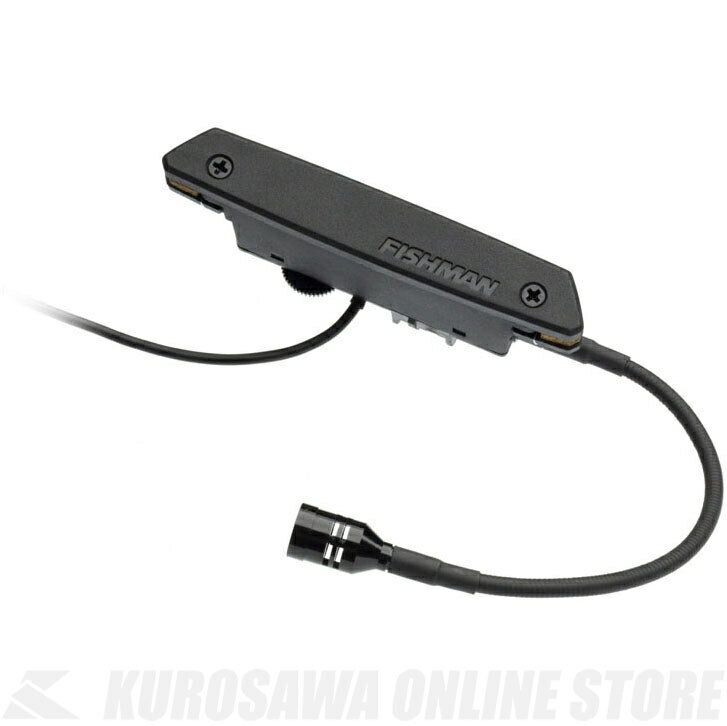 Fishman Rare Earth Blend Soundhole Pickup [PRO-REP-103] 《アコースティックギター用ピックアップ》 【送料無料】