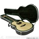 SKB Thin-line Acoustic / Classical Economy Guitar Case [1SKB-3]《アコースティックギターケース》【送料無料】【ご予約受付中】