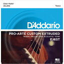 D'Addario Pro-Arte Custom Extruded Ukulele, Tenor EJ65T [EJ65T] sei[ENptylR|Xz